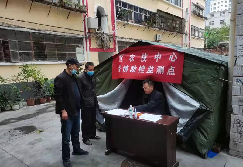 武都区农技中心防疫农业两手抓两不误开展耕地质量土样采集工作