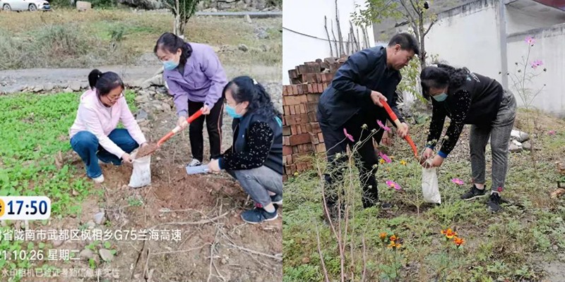 武都区农技中心防疫农业两手抓两不误开展耕地质量土样采集工作