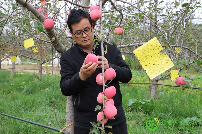 镇原县四项措施确保顺利完成耕地质量提升与化肥减量增效项目建设任务