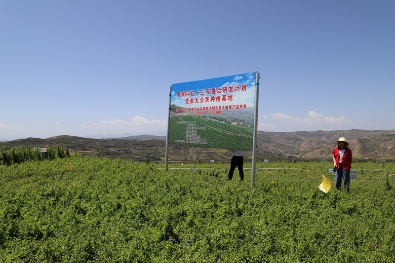 陇西县加快推广高标准农田生地熟化技术研究