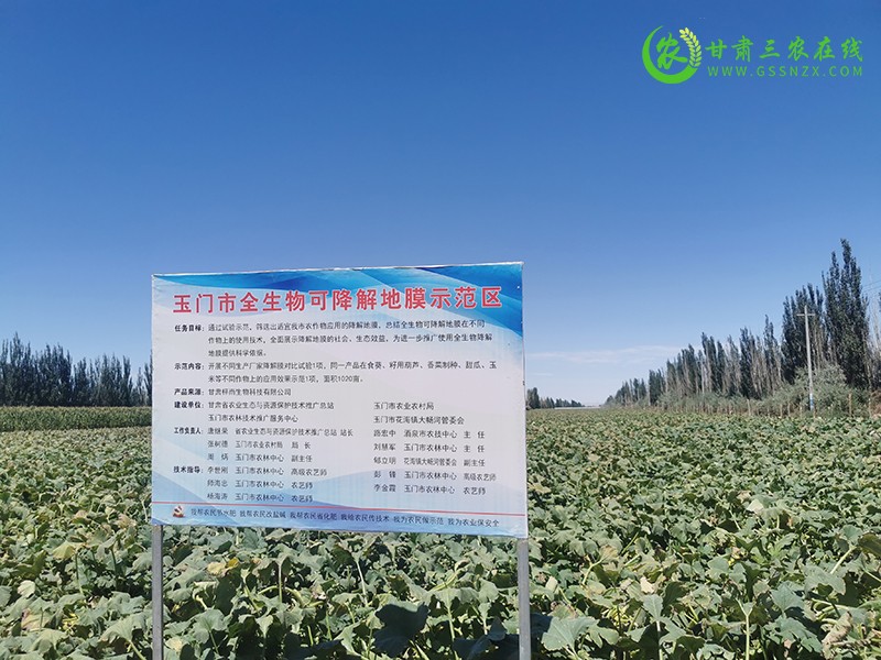 玉门市积极开展生物可降解地膜示范区建设