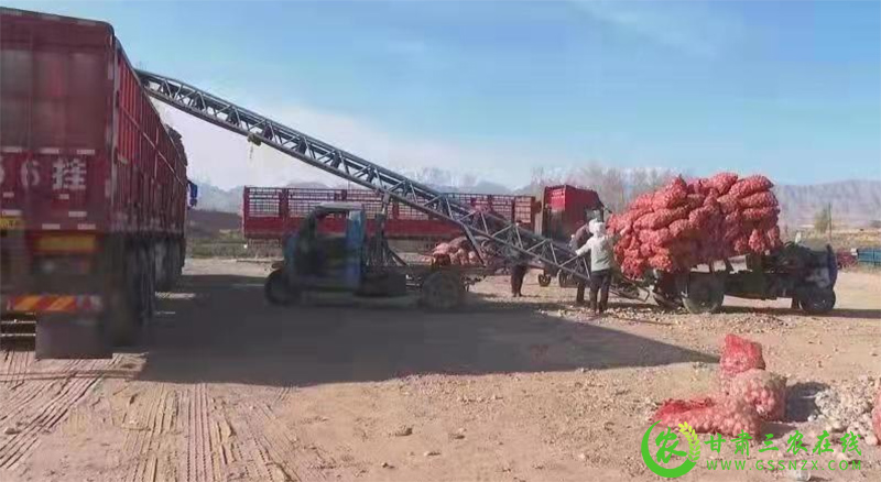 民乐县农机安全监理站常态化开展疫情防控工作严格落实安全生产责任