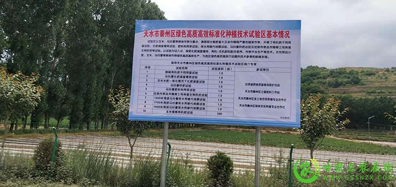 秦州区今年累计推广绿色高质高效示范面积20万亩