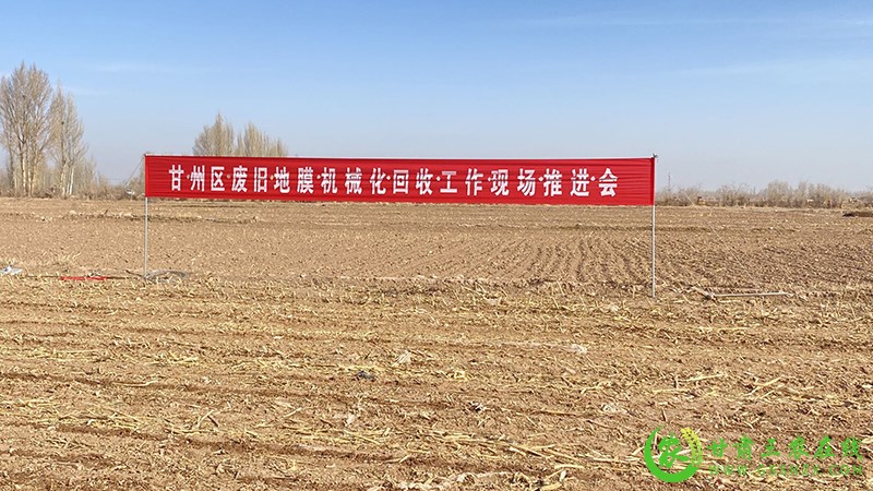甘州区召开废旧地膜回收利用现场推进会