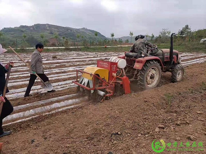 秦州区实施绿色高质高效行动项目提升产业综合效益