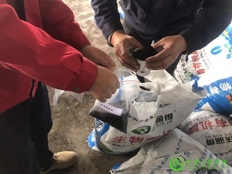秦州区实施绿色高质高效行动项目提升产业综合效益