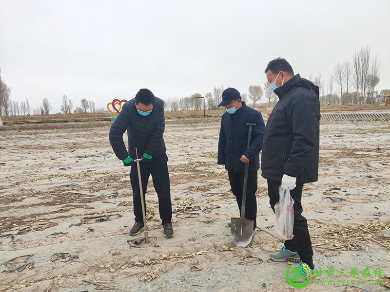 瓜州县农技中心圆满完成土肥水重点项目土样采集工作​
