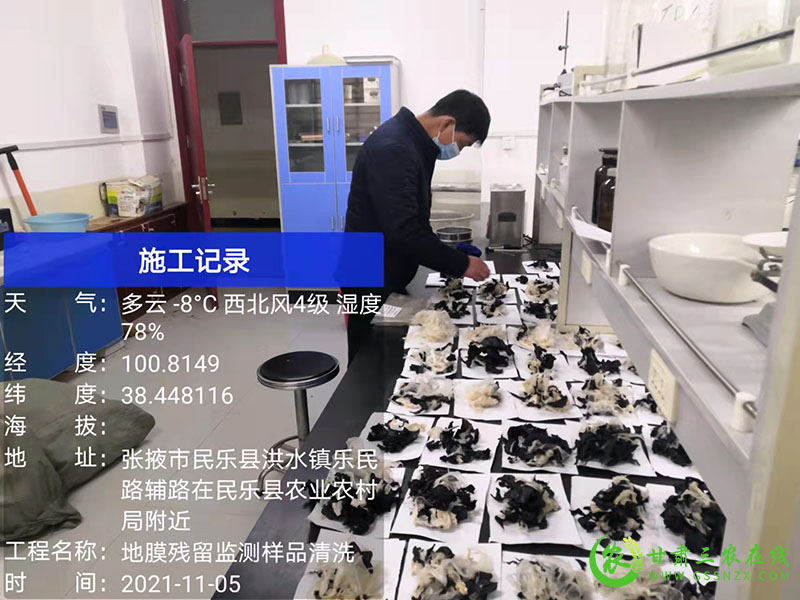 民乐县农田地膜残留监测采样工作全面完成