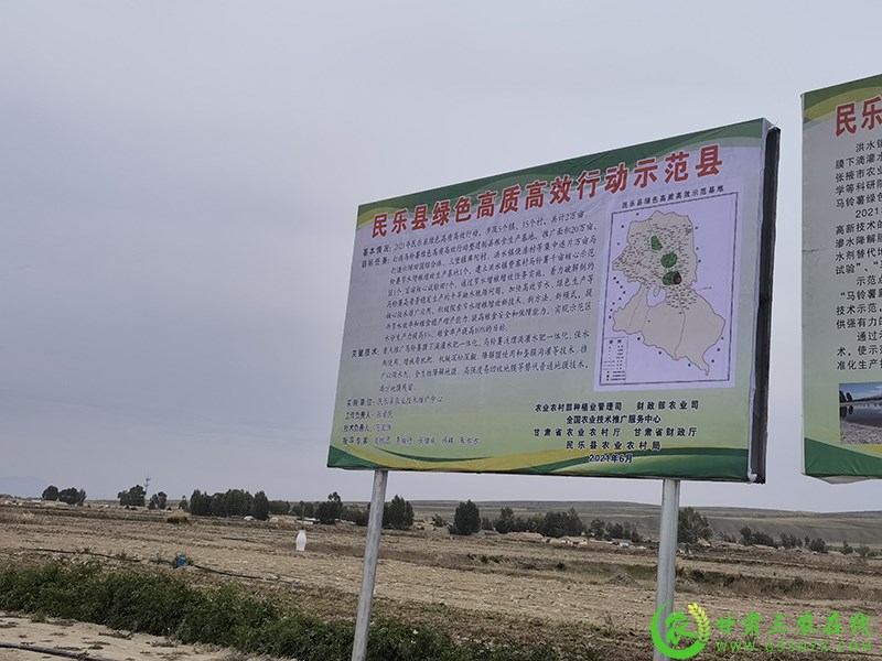 民乐县扎实推进马铃薯绿色高质高效行动​