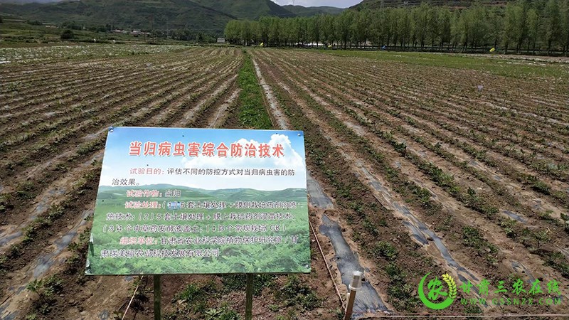 岷县农技中心扎实开展耕地质量提升和化肥减量增效