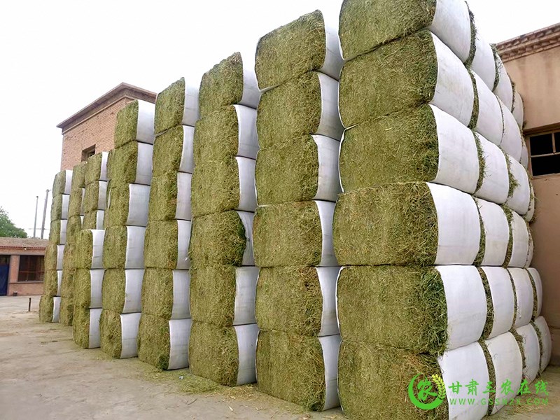 瓜州：秸秆农膜废变宝 资源环境保护好