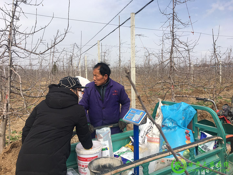 镇原县开展测土配方施肥田间试验稳步提高化肥利用率