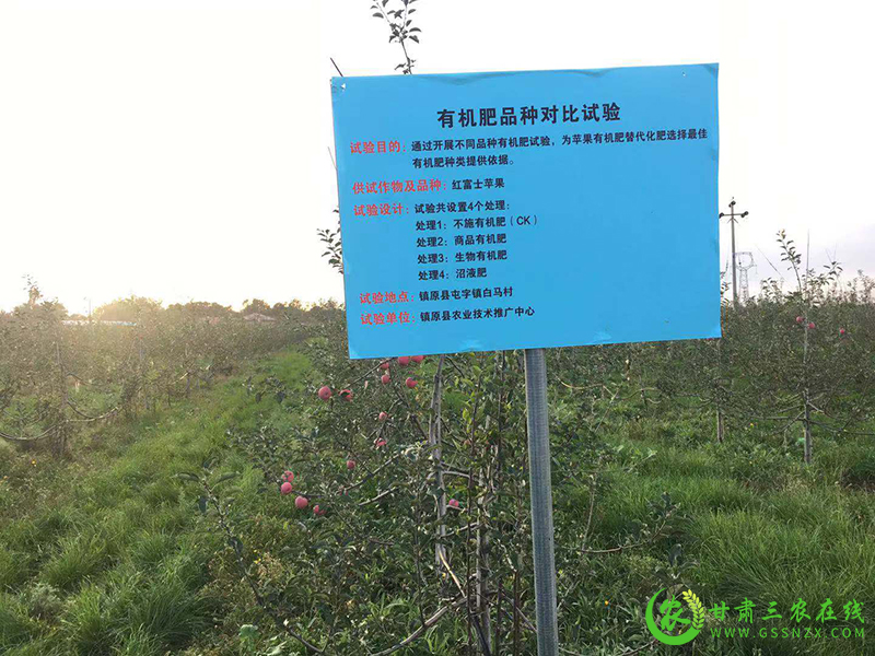 镇原县开展测土配方施肥田间试验稳步提高化肥利用率