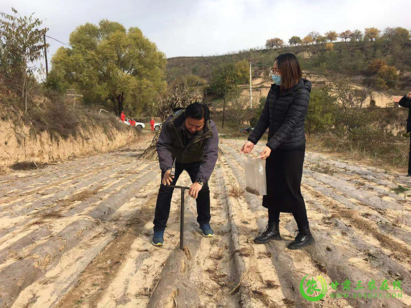 镇原县强化宣传培训确保测土配方施肥技术覆盖率达到95%以上