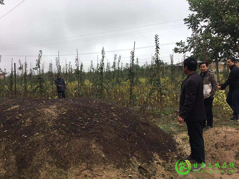 镇原县加强组织管理抓好化肥减量增效项目实施