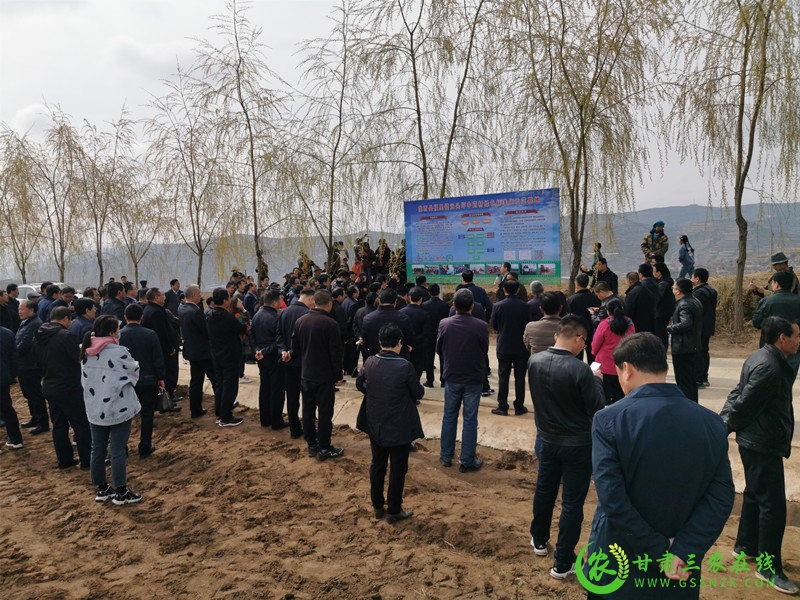 陇西县不断完善中药材绿色标准化种植和生态种植体系