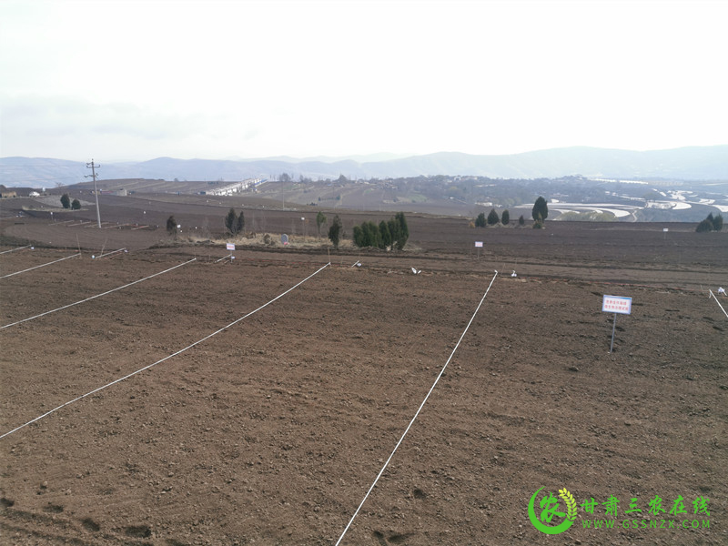 陇西县不断完善中药材绿色标准化种植和生态种植体系