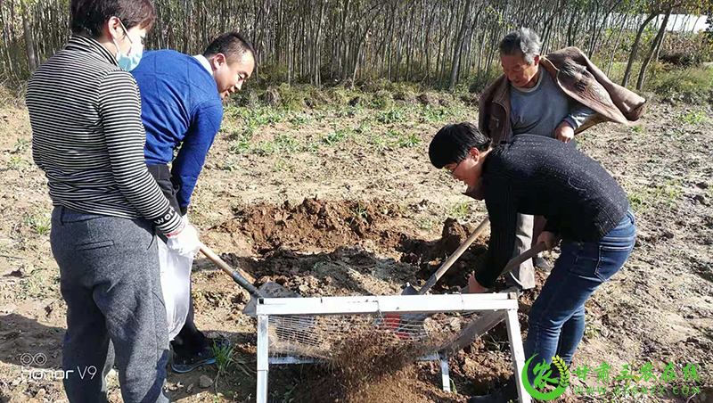 合水县圆满完成2021年农田地膜残留监测工作