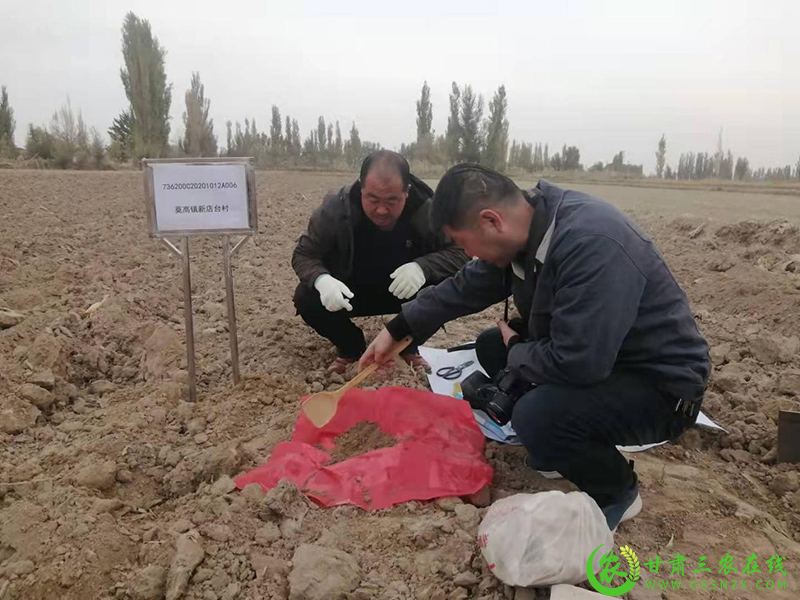 酒泉市耕地质量提升与化肥减量增效项目土样采集工作圆满完成
