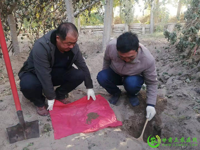 酒泉市耕地质量提升与化肥减量增效项目土样采集工作圆满完成
