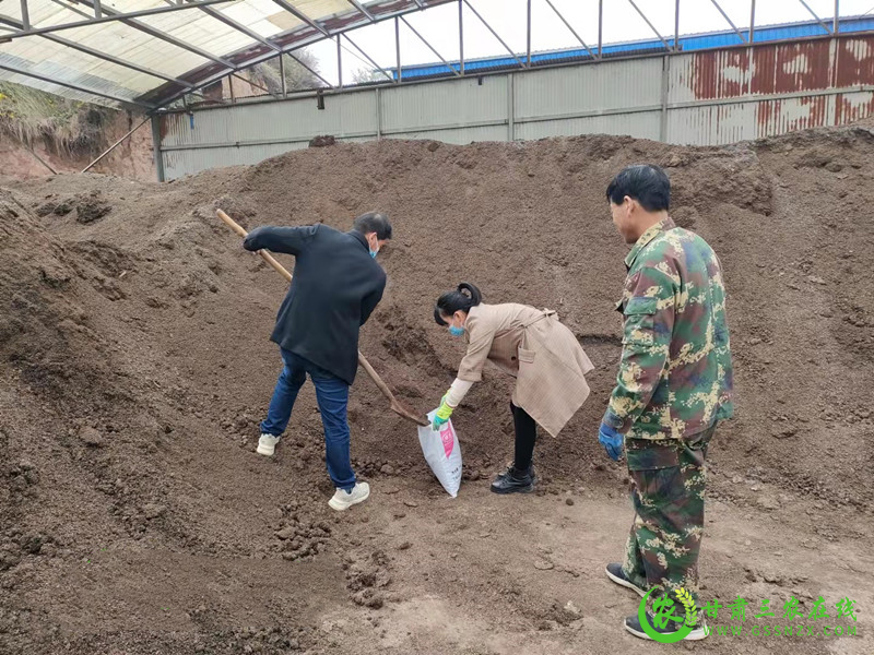 庄浪县在马铃薯和苹果种植基地示范推广粪肥还田技术实现种养循环
