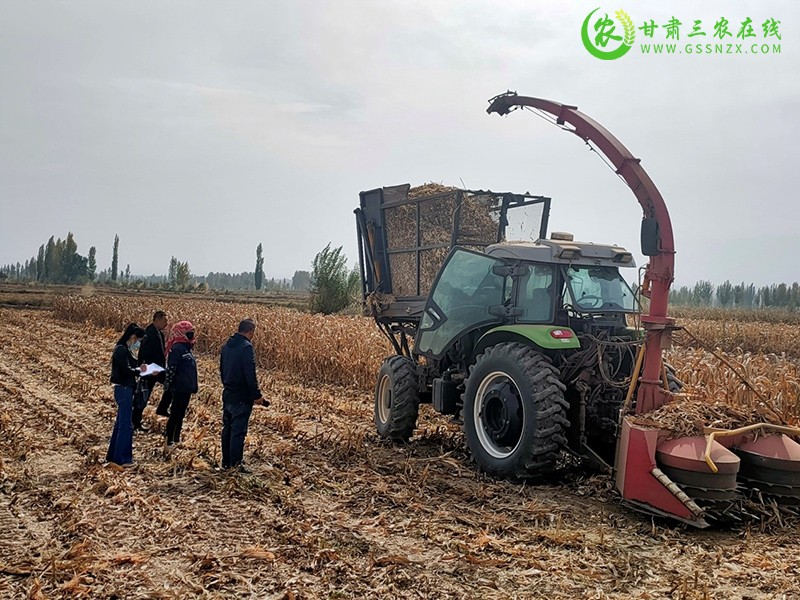 张掖市农业综合行政执法队统筹做好疫情防控和冬季农机安全生产工作