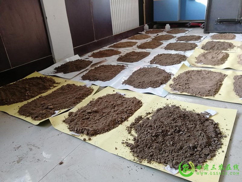 酒泉市农技中心“土壤信息快速获取与诊断技术研究与示范推广”项目通过市级验收