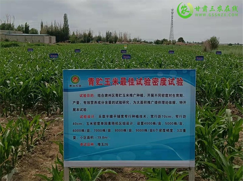 酒泉市坚持科技创新  加强农业技术推广