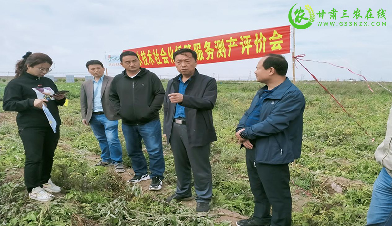 山丹县土肥技术社会化“托管模式”工作成效明显