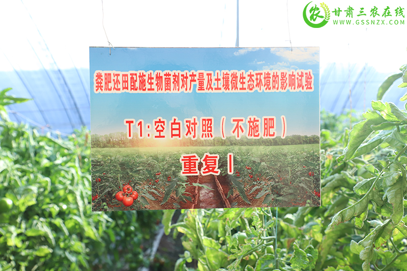 甘州区完成绿色种养循环农业试点工作8.6万亩示范面积