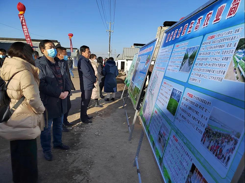 全省农作物病虫害绿色防控技术培训现场观摩会在肃州区召开