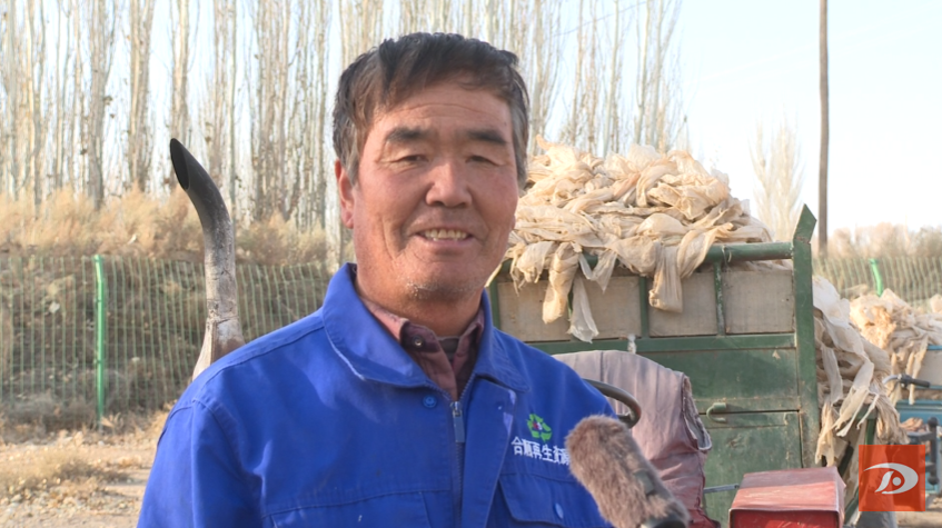 敦煌市：