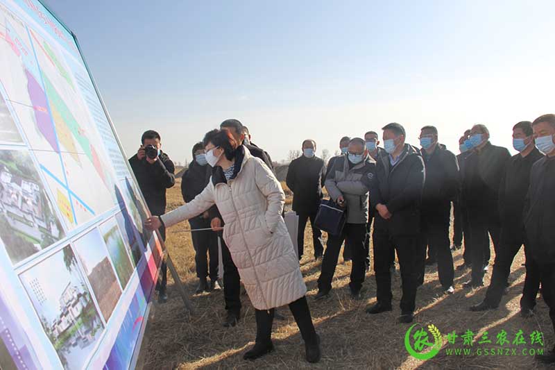 2022年高台县委农村工作领导小组​第一次会议暨乡村建设示范行动现场推进会召开