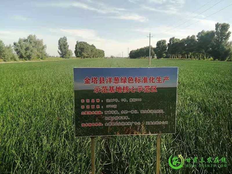 酒泉市加强农业技术培训与农业科技推广见成效