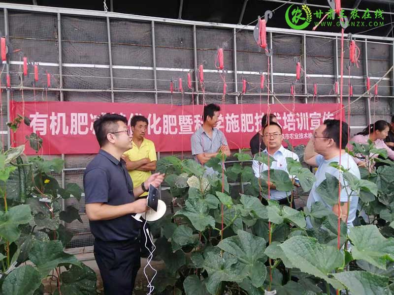 酒泉市加强农业技术培训与农业科技推广见成效