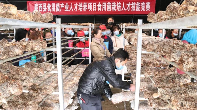 陇西县成功举行食用菌产业技能竞赛