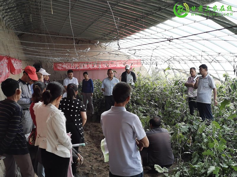 凉州区深研农业废弃物利用技术 助力农业高质量发展