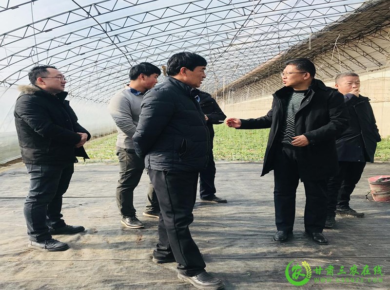 酒泉市科技特派员赴玉门市开展戈壁日光温室轻简自控技术指导