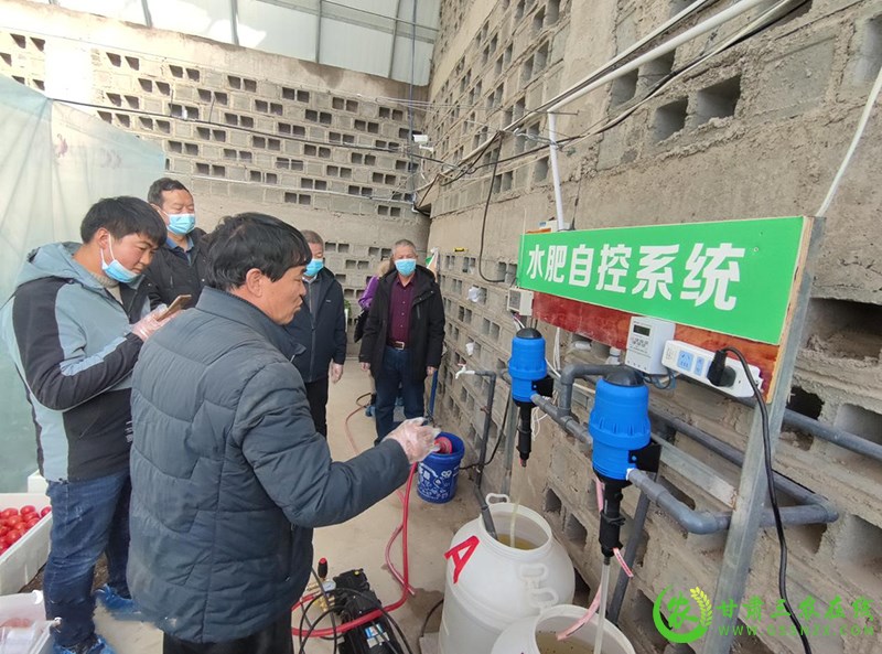 酒泉市科技特派员赴玉门市开展戈壁日光温室轻简自控技术指导