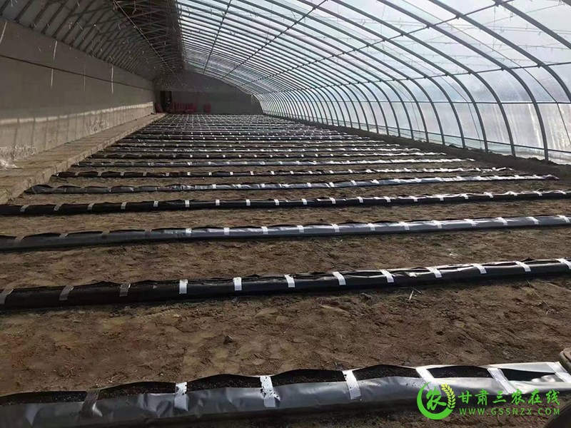 酒泉市农技中心开展戈壁日光温室轻简自控技术试验示范