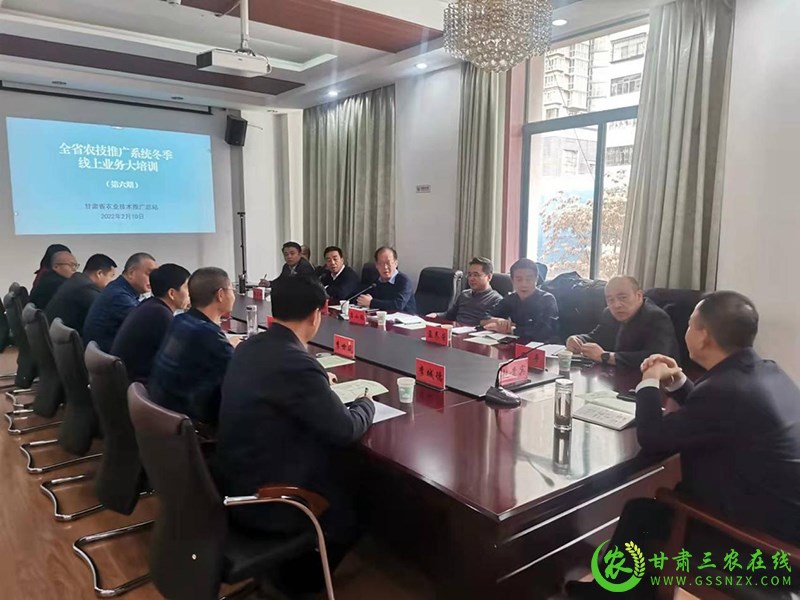 省农技总站组织召开全省大豆玉米带状复合种植综合技术线上培训