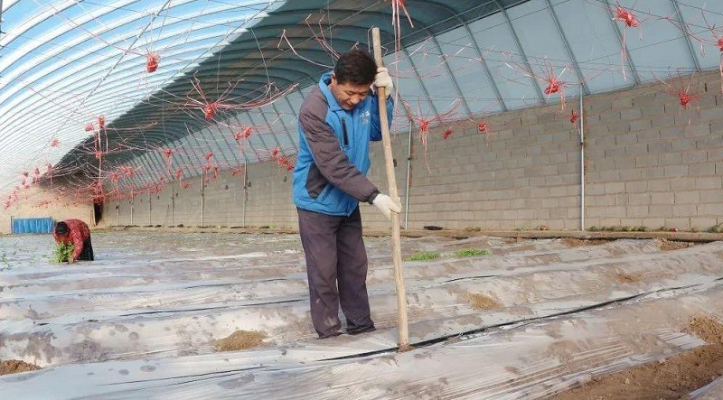 瓜州：疫情防控不松懈 春耕生产农事忙