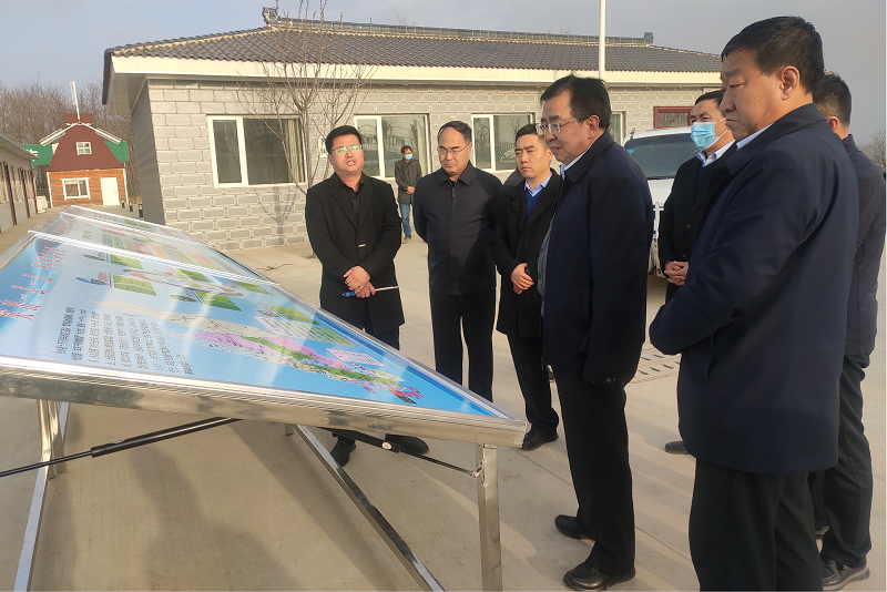 省农业农村厅一级巡视员杜永清一行在合水县开展春耕备耕和耕地保护等农业农村重点工作督导调研
