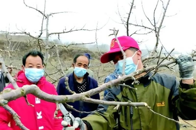 把农业技术送到田间地头——天水市农技专家助力春耕生产见闻