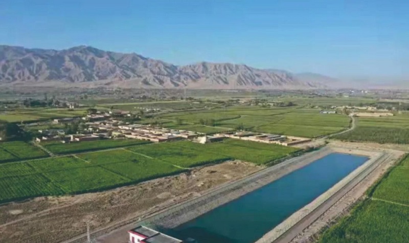 落实“藏粮于地”补齐弱项短板 积极探索高标准农田建设“凉州模式”