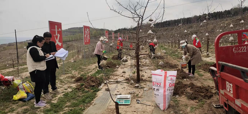 庄浪农技人绽放在庄山浪水间开展绿色种养循环农业肥效试验工作