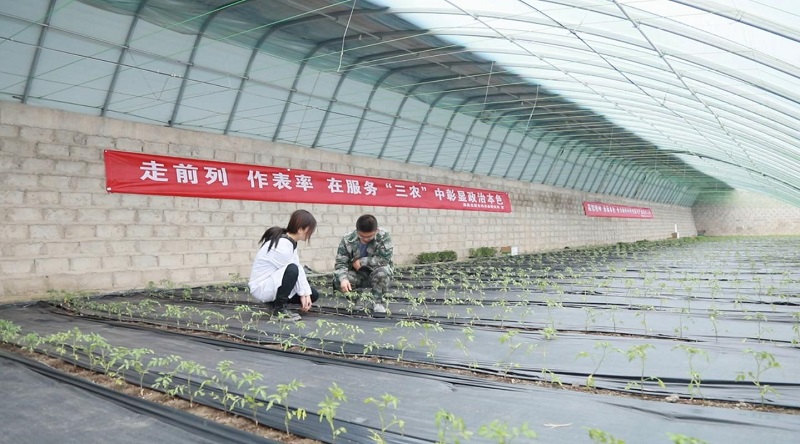 瓜州县科技助力乡村振兴走上快车道