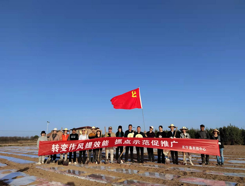 正宁县农技中心多措并举助力春耕生产
