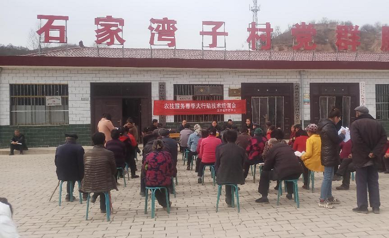 正宁县农技中心多措并举助力春耕生产