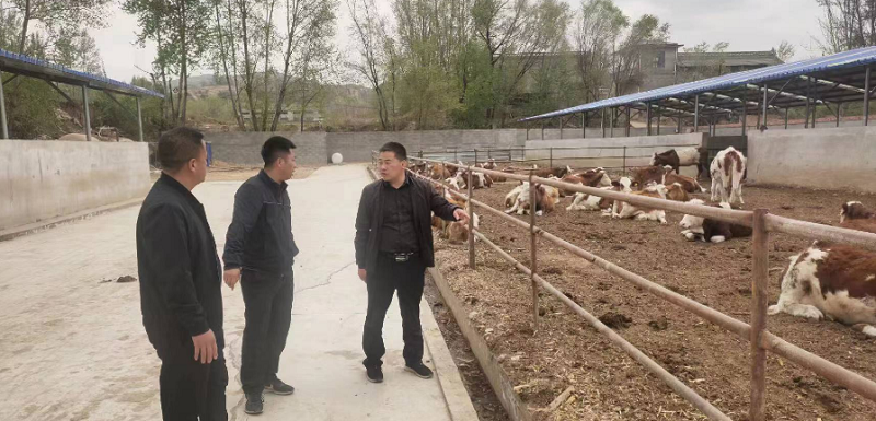 永靖县农业农村局组织技术人员赴广河县学习交流牛产业发展情况